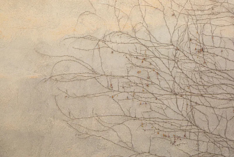 Against Perfection: Why the Most Alive Spaces Are the Ones That Resist Completion