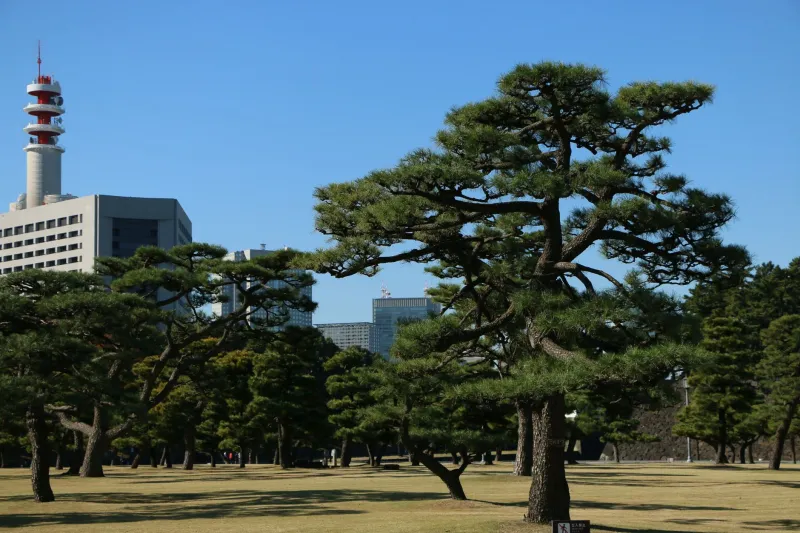 From Tokyo to Times Square: How Japanese Design Thinking Is Quietly Transforming American Cities