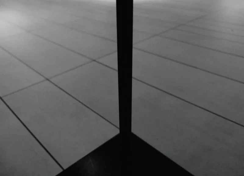 Proportioned for Living: How the Hidden Geometry of Space Shapes Your Daily Rhythm