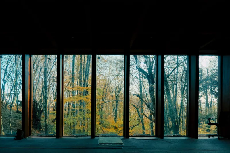 Sealed Against the Sky: What We Surrendered When We Perfected Climate Control